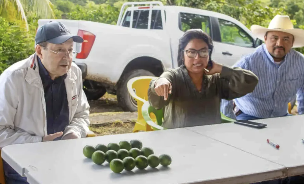 LIMONEROS DE PAPANTLA, VERACRUZ EXPORTARÁN POR PRIMERA VEZ A RUSIA 21 TONELADAS DEL CÍTRICO