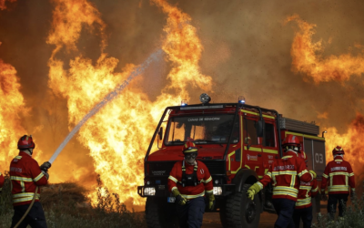 INCENDIOS FORESTALES ARRASAN MILES DE HECTÁREAS EN FRANCIA, ESPAÑA Y PORTUGAL