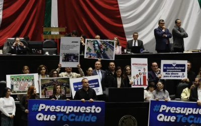 LA CÁMARA DE DIPUTADOS REVISA LA ESTRUCTURA PROGRAMÁTICA PARA EL PROYECTO DEL PEF 2027