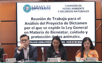 DIPUTADOS ANALIZAN CON LA SEMARNAT EL PROYECTO DE DICTAMEN SOBRE BIENESTAR ANIMAL