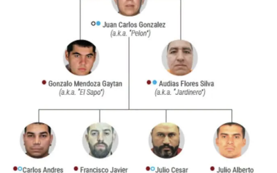TESORO Y UIF BLOQUEAN CUENTAS DE NUEVO LÍDER DEL CJNG, «EL PELÓN» Y OTRAS 50 PERSONAS