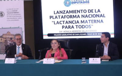 LEGISLAN PARA GARANTIZAR EL DERECHO A LA LACTANCIA MATERNA PARA TODAS LAS FAMILIAS