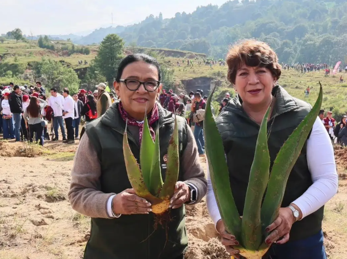 SHEINBAUM ARRANCA LA JORNADA NACIONAL DE REFORESTACIÓN; SEMBRARÀN 6.6 MILLONES DE ÁRBOLES