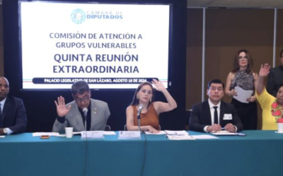 APRUEBAN DIPUTADOS TRES DICTÁMENES EN BENEFICIO DE DISCAPACITADOS Y ADULTOS MAYORES