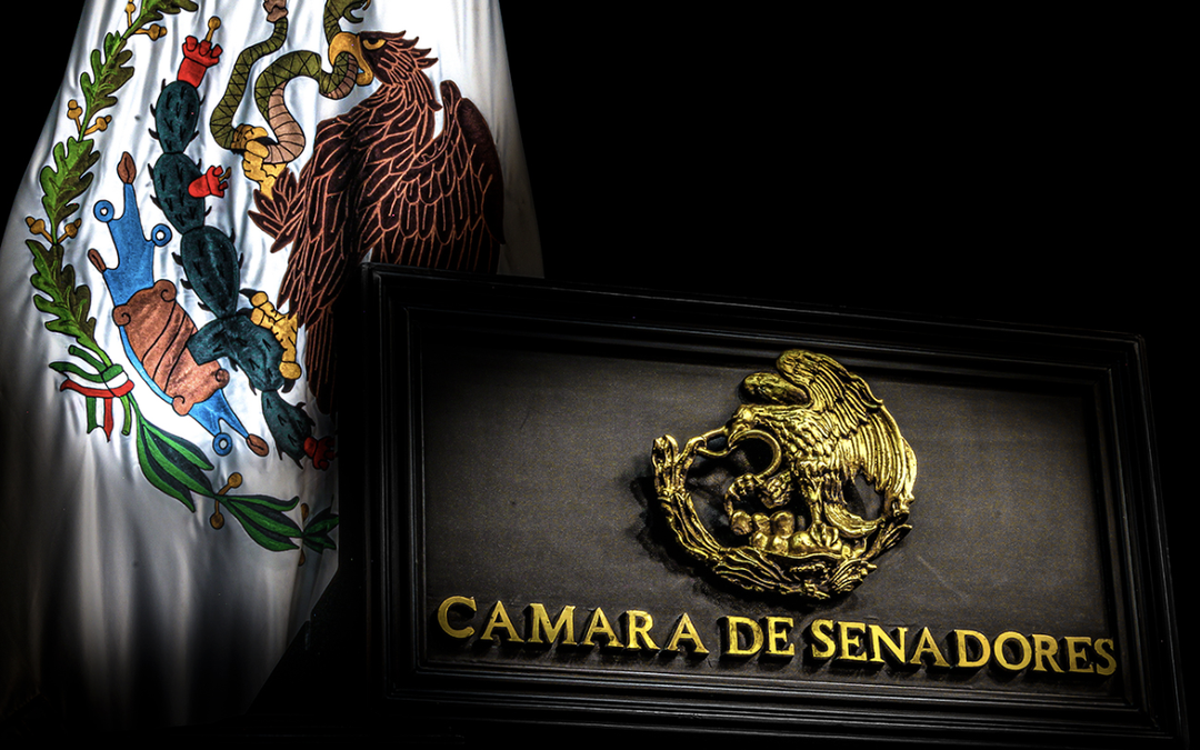 Mañana inicia en el Senado la glosa del Segundo Informe: debatirán Política Interior y Económica