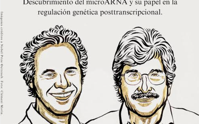 PREMIO NOBEL DE MEDICINA A DESCUBRIDORES DE LAS CÈLULAS QUE CONTRIBUYEN AL APRENDIZAJE Y LA ADICCIÒN