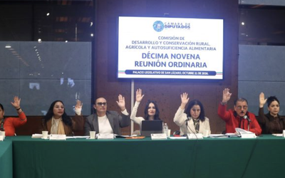 COMISIÓN DE DIPUTADOS BUSCA REASIGNACIÒN AL PEF DE 28 MMDP PARA EL SECTOR AGROPECUARIO