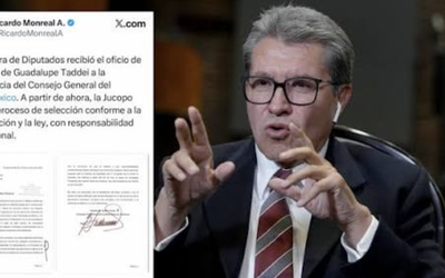 CÀMARA DE DIPUTADOS INICIA PROCESO DE SELECCIÒN DEL SUSTITUTO DE TADDEI EN EL INE
