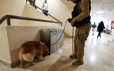 ENDURECEN MEDIDAS DE SEGURIDAD PARA INGRESO A CÁMARA DE DIPUTADOS; INSPECCIONAN BINOMIOS CANINOS